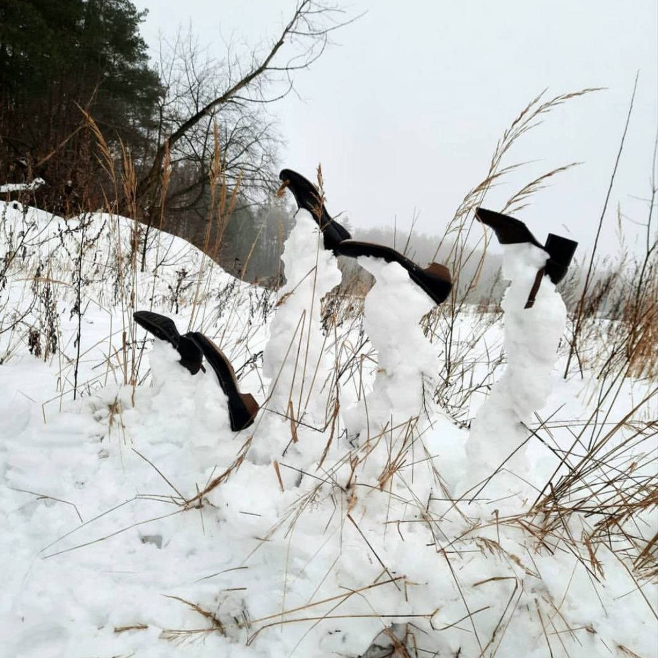 «Хроники холода» 2020