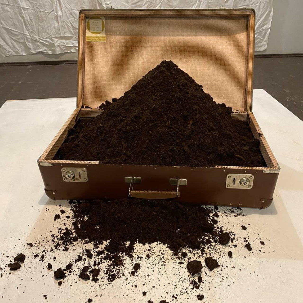 Проекты с концепцией «Земля»