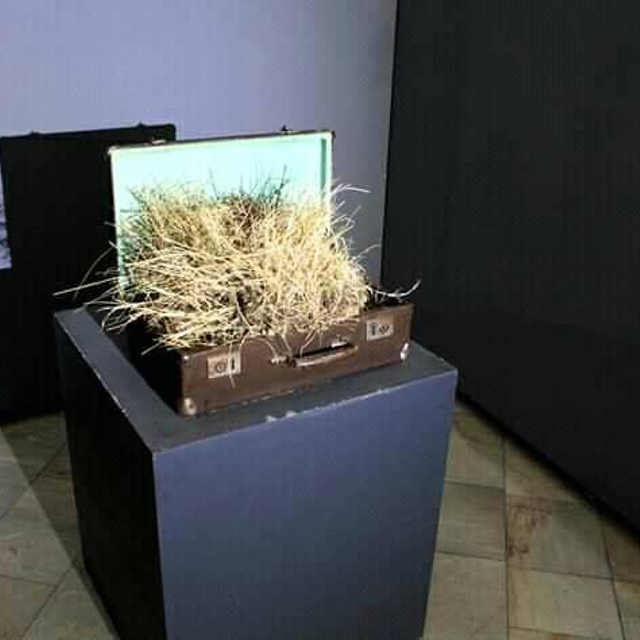 Ташкентское биеннале 2018