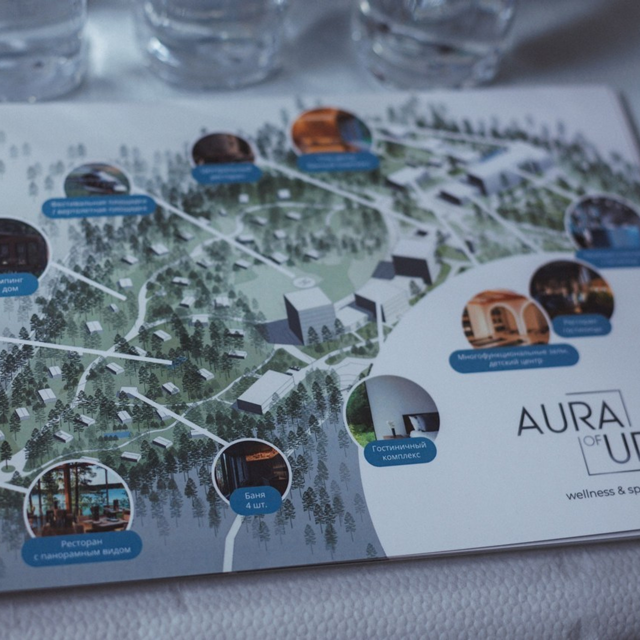 Отзывы. Семейный и детский фотограф в Сухом Логу Ольга Кайгородова