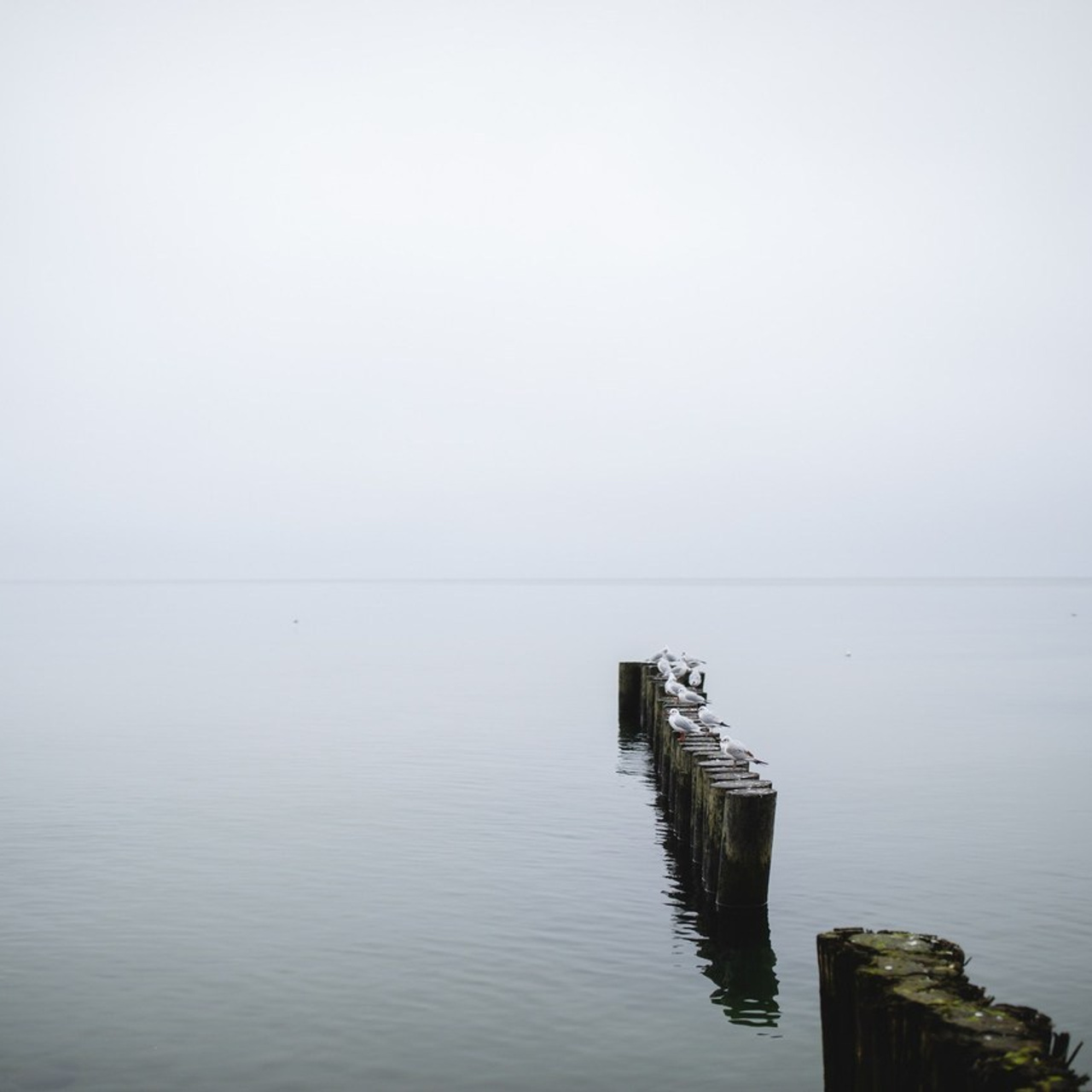 Отзывы. Фотограф Светлана Басова