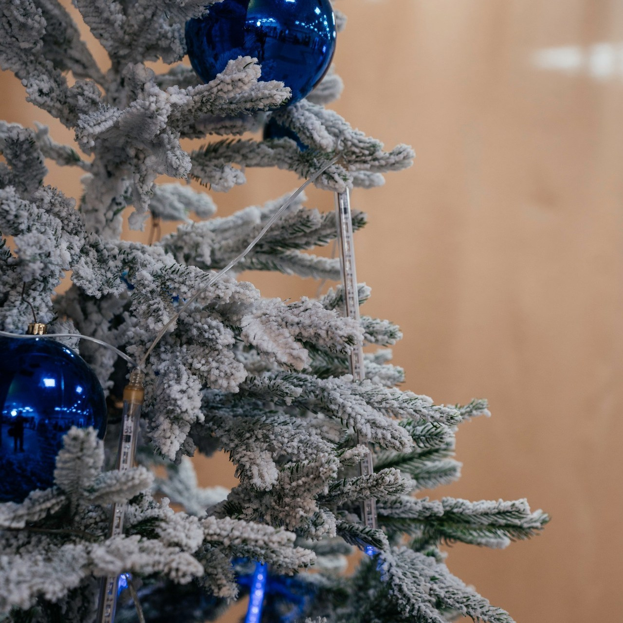 Отзывы. Свадебный фотограф Абакан