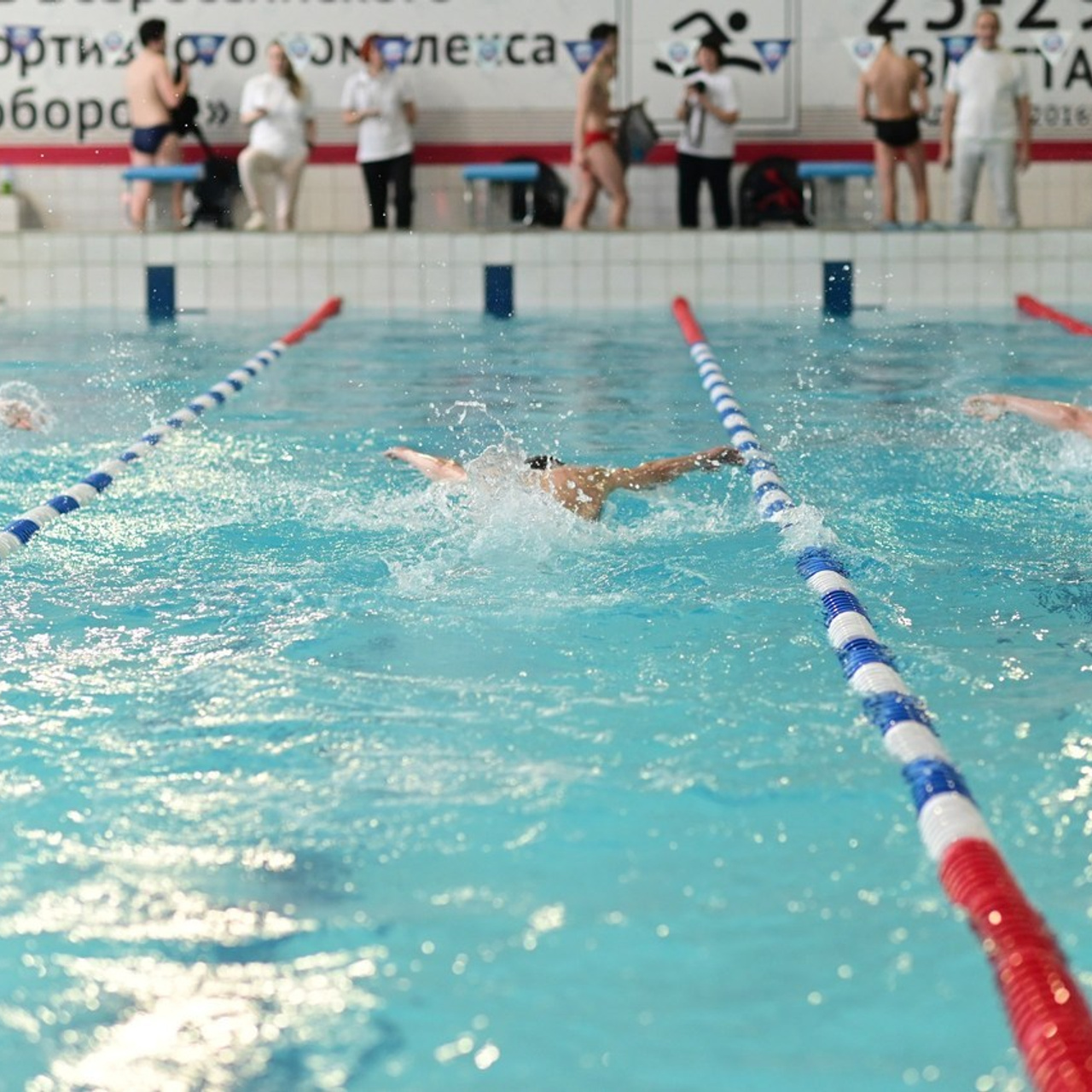 Отзывы. Фотограф Светлана Скороходова Владимир-Москва