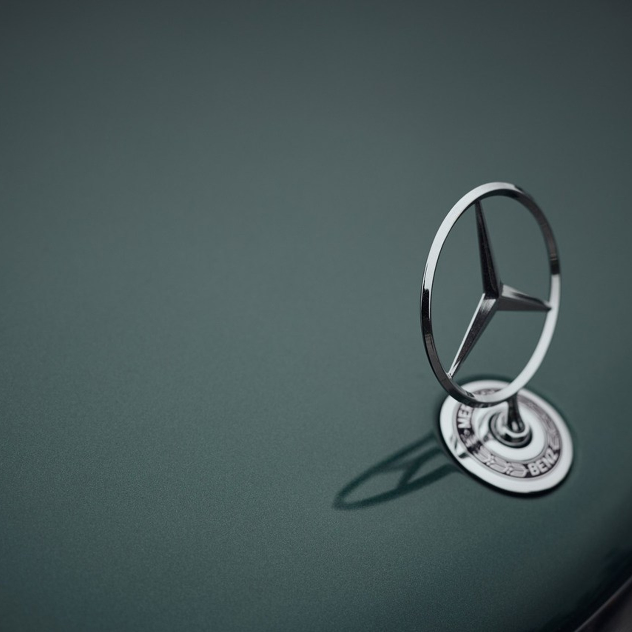 Отзывы о фотографе. Репортажный и портретный фотограф в Санкт-Петербурге Кристина Рягузова