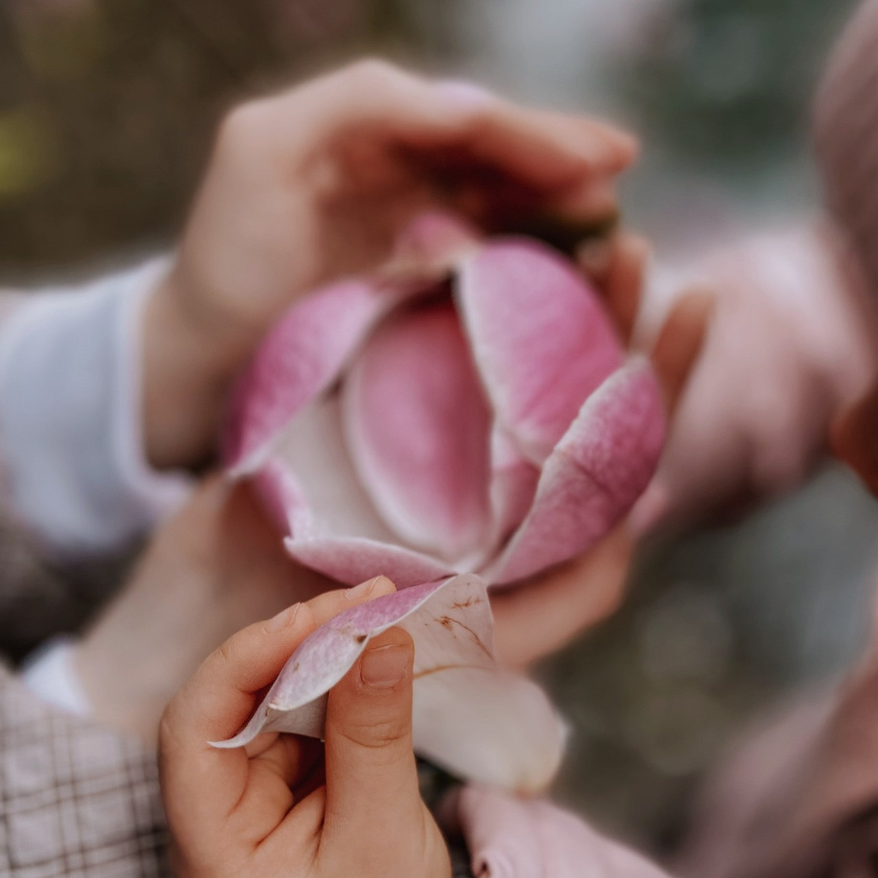 Фотограф в Москве. Фотограф Сочи Кисматова Анастасия