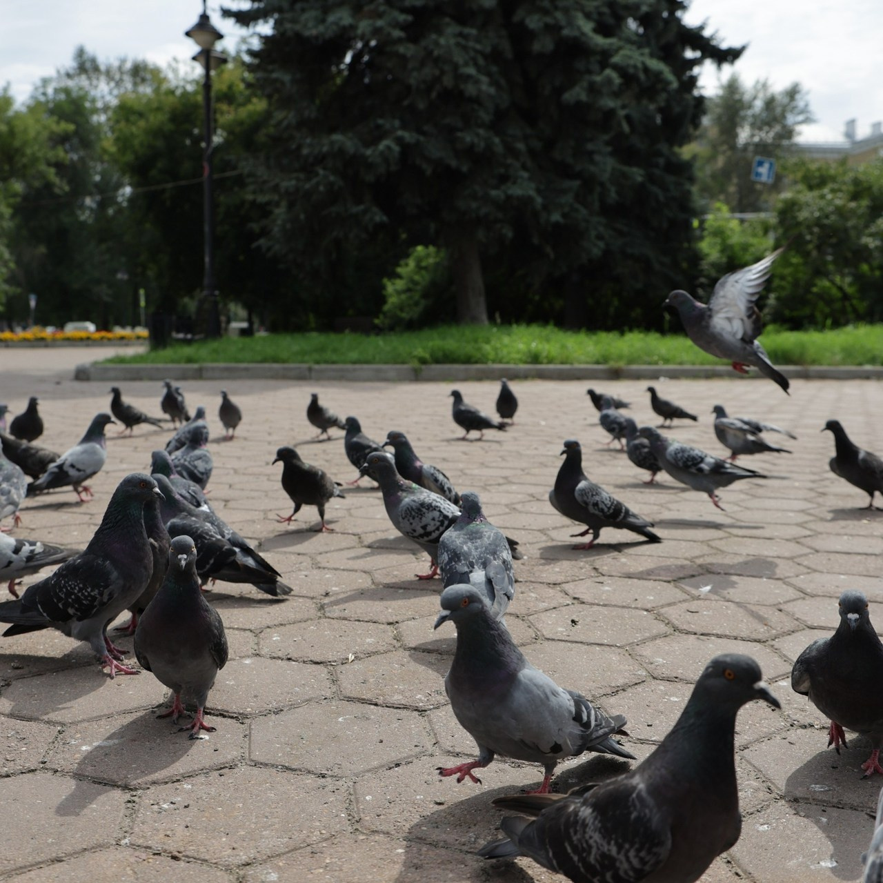 Отзывы. Медийный фотограф Ольга Шуть
