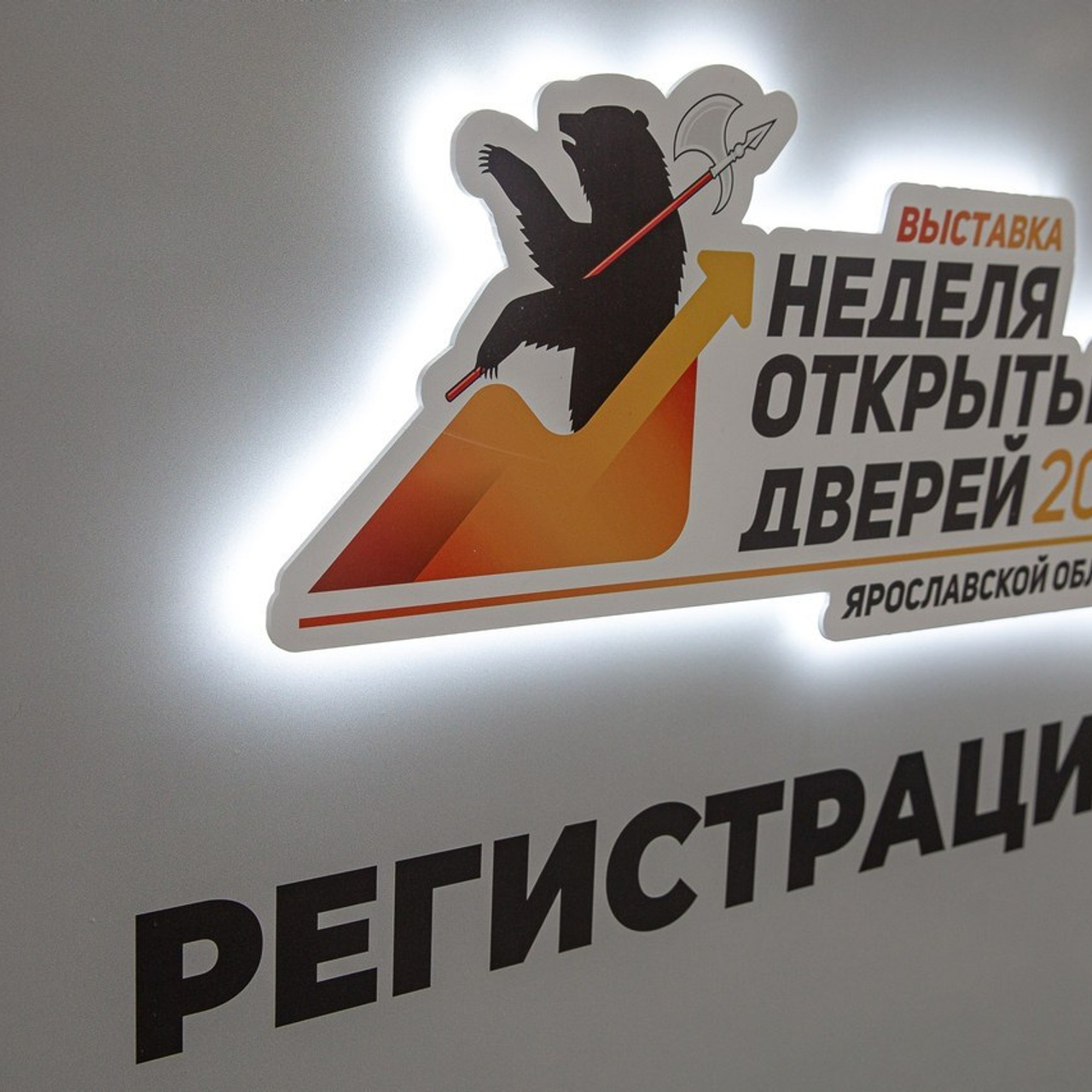 Отзывы. Фотограф Алексей Новрузов