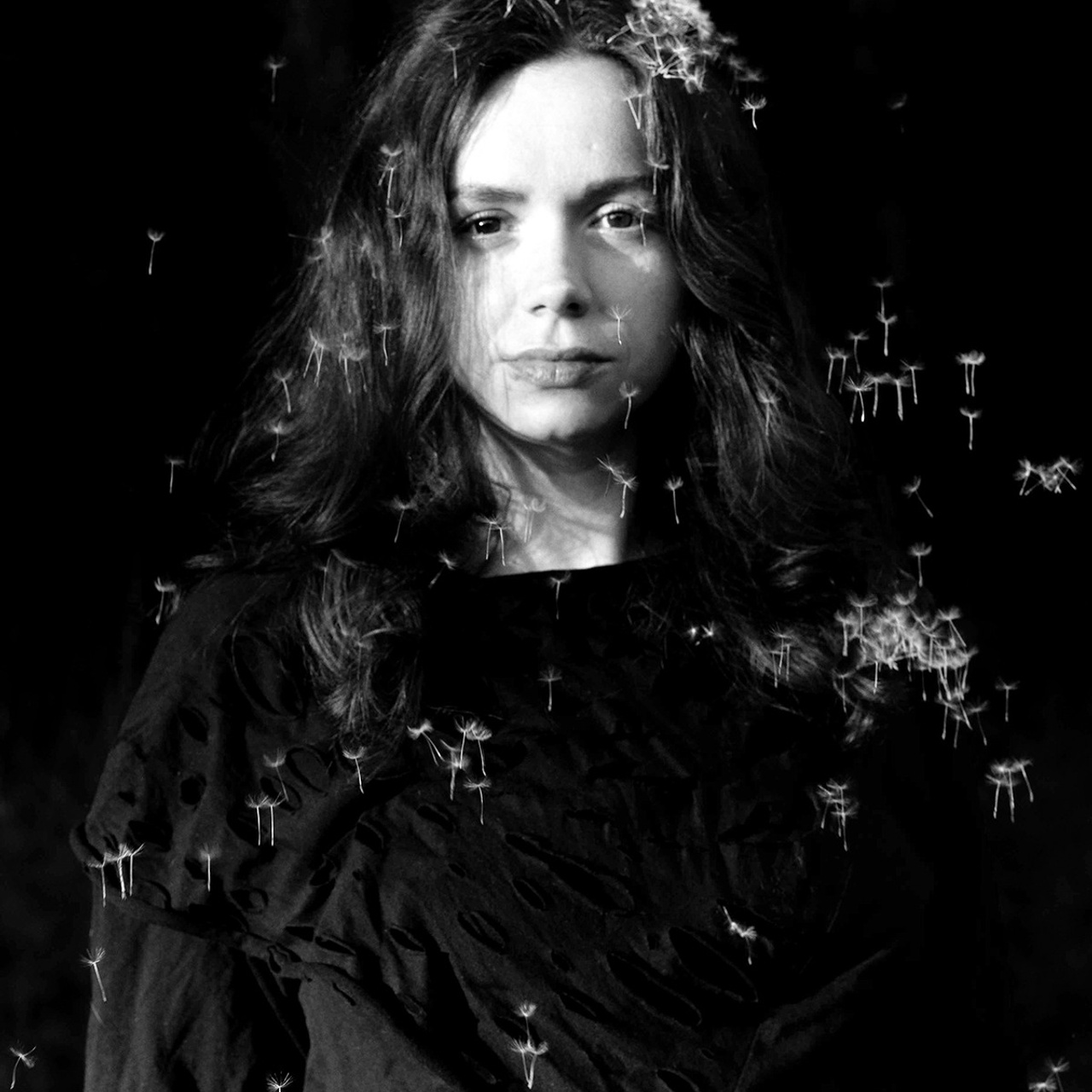 Одуванчики.