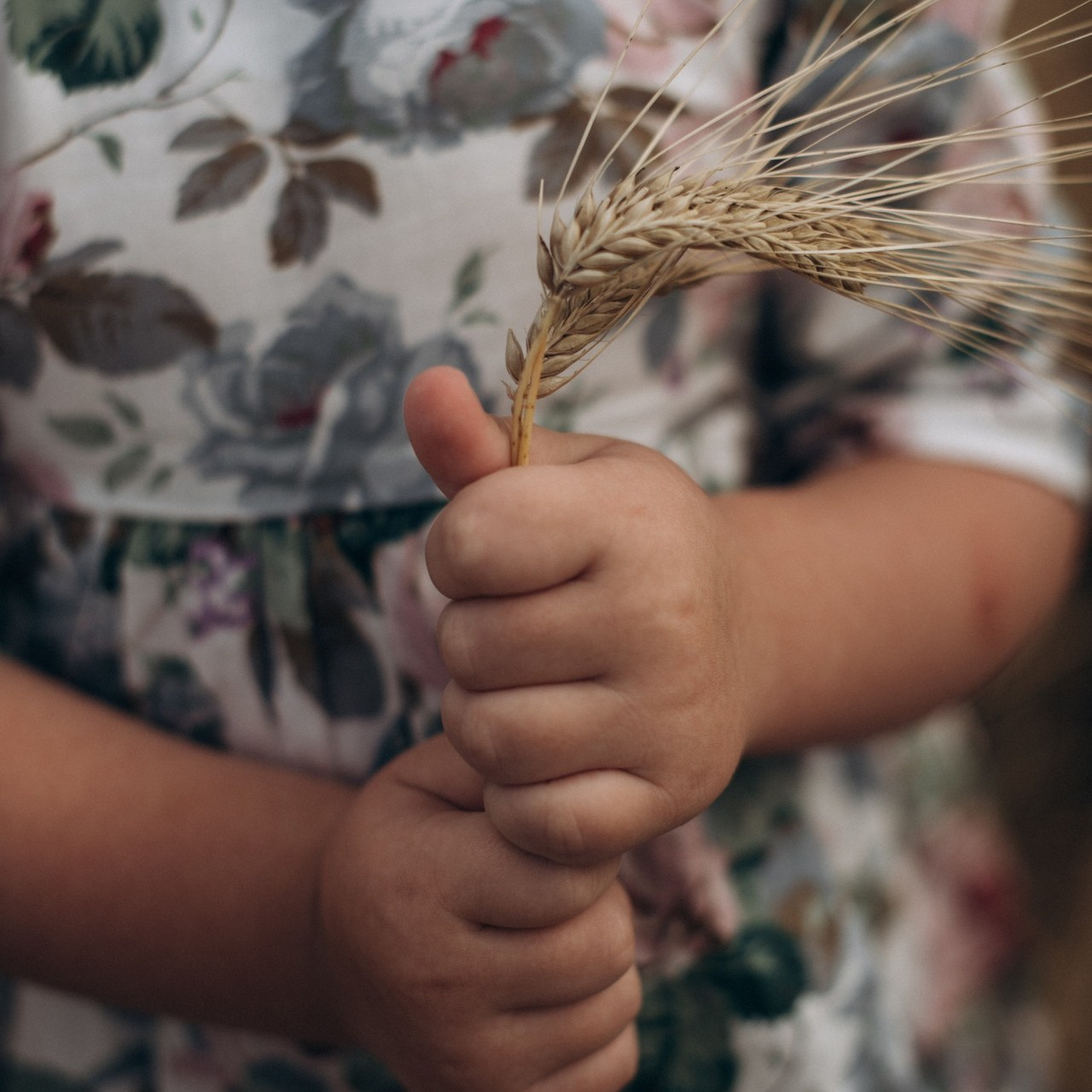 Отзывы. Куксенко Елена — Семейный фотограф Санкт-Петербург