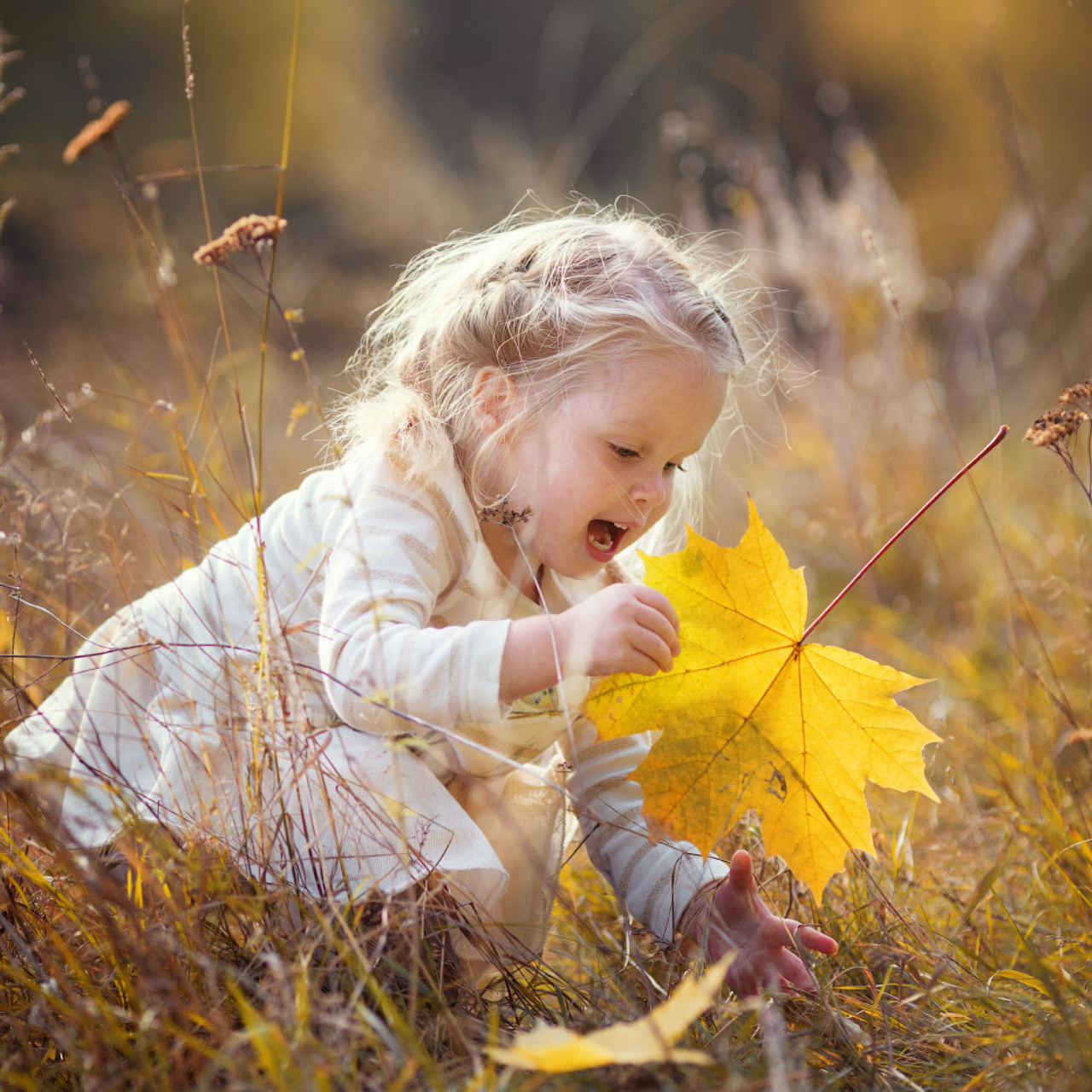 Осенняя фотосессия в Серебряном Бору. Фотограф в Москве Татьяна Байкова