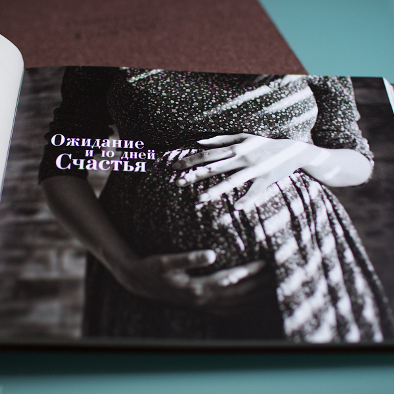 Коричневая фотокнига. Фотограф в Москве Татьяна Байкова