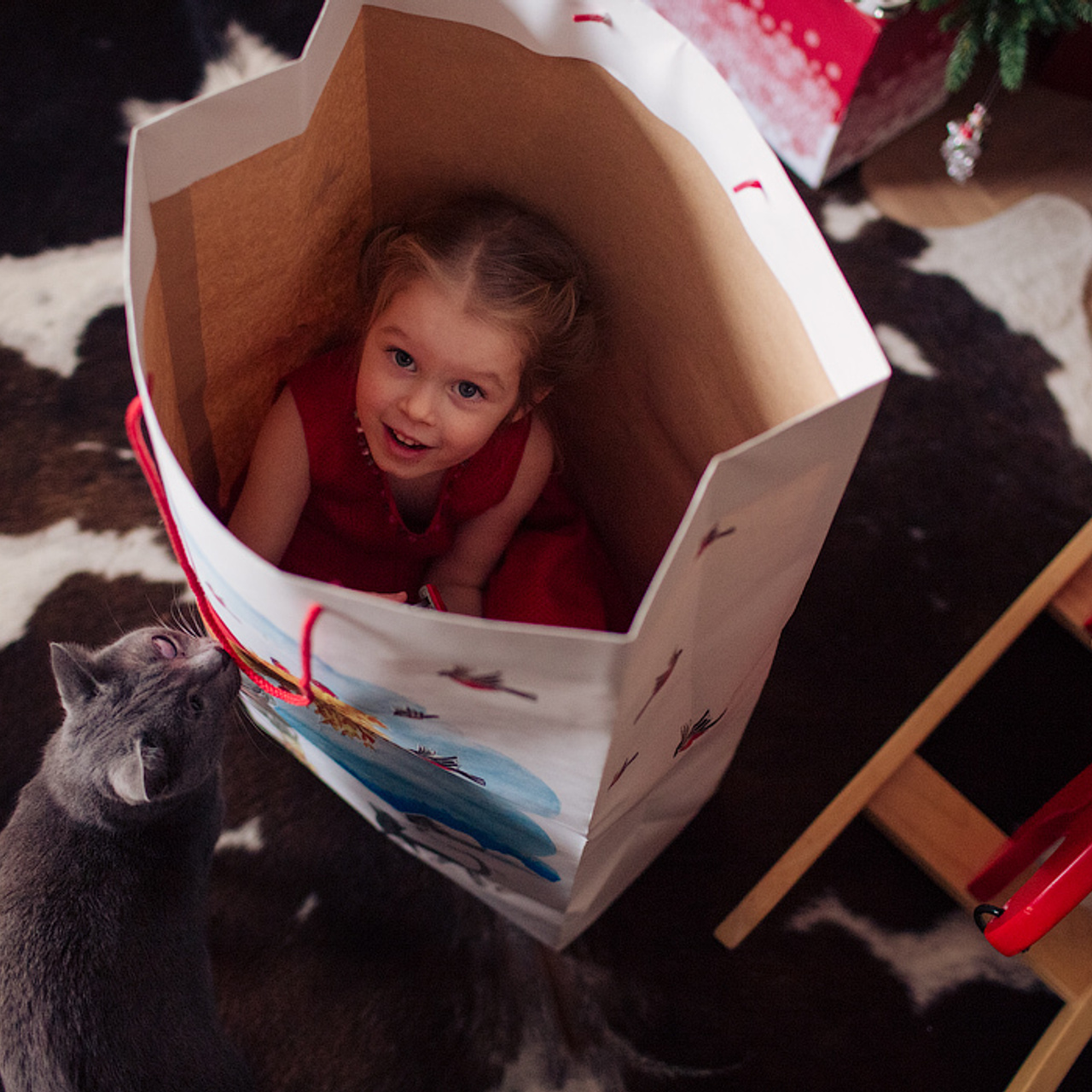 Домашняя новогодняя фотосессия. Фотограф в Москве Татьяна Байкова
