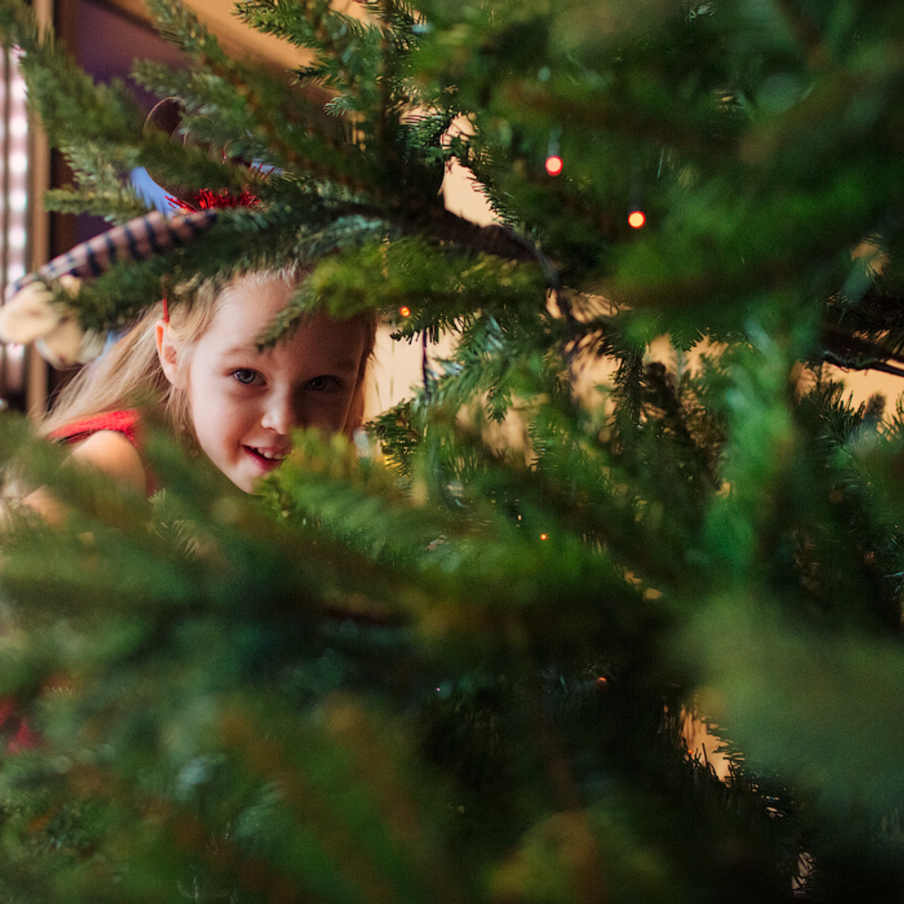 Домашняя новогодняя фотосессия. Фотограф в Москве Татьяна Байкова