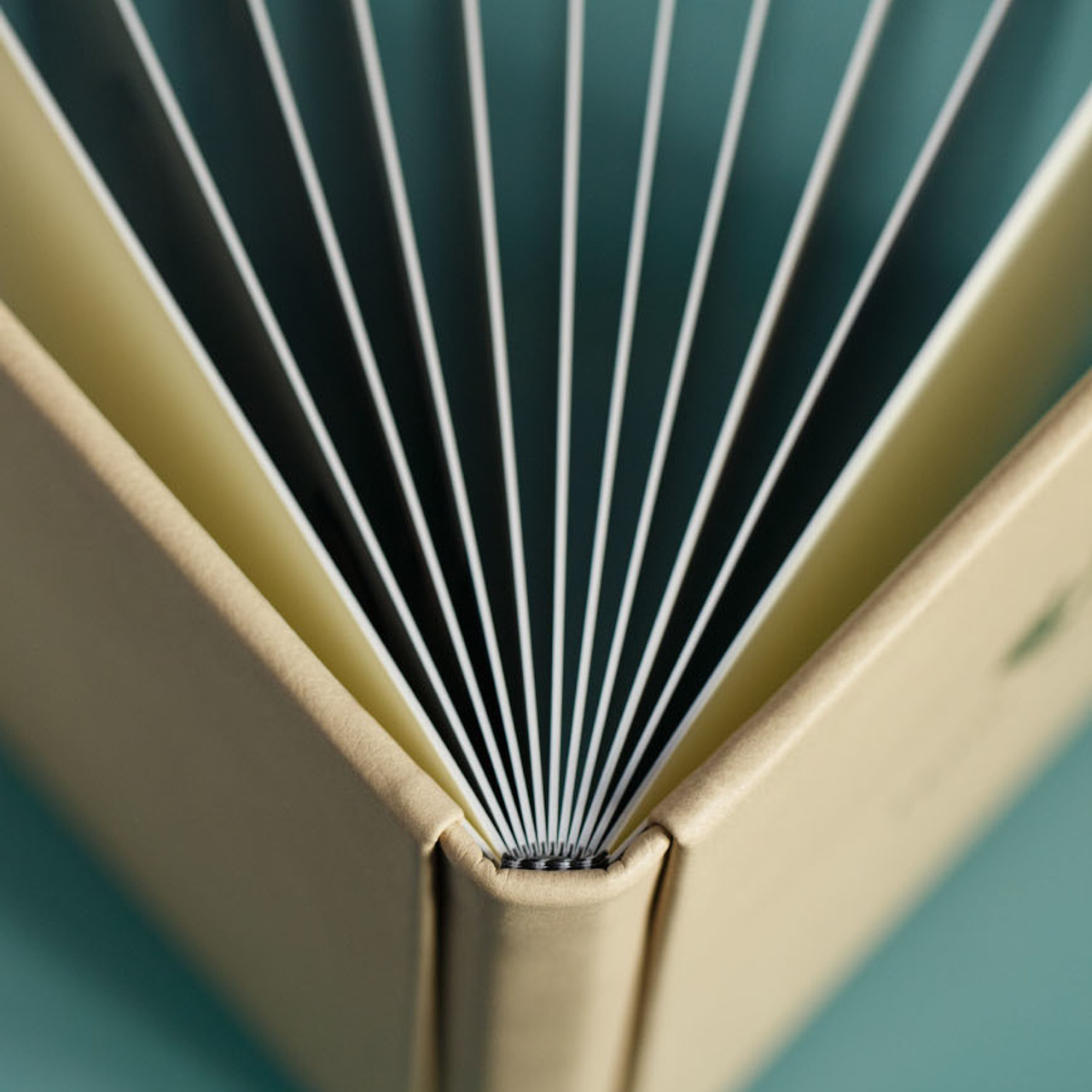 Фотокнига на выписку из роддома. Фотограф в Москве Татьяна Байкова