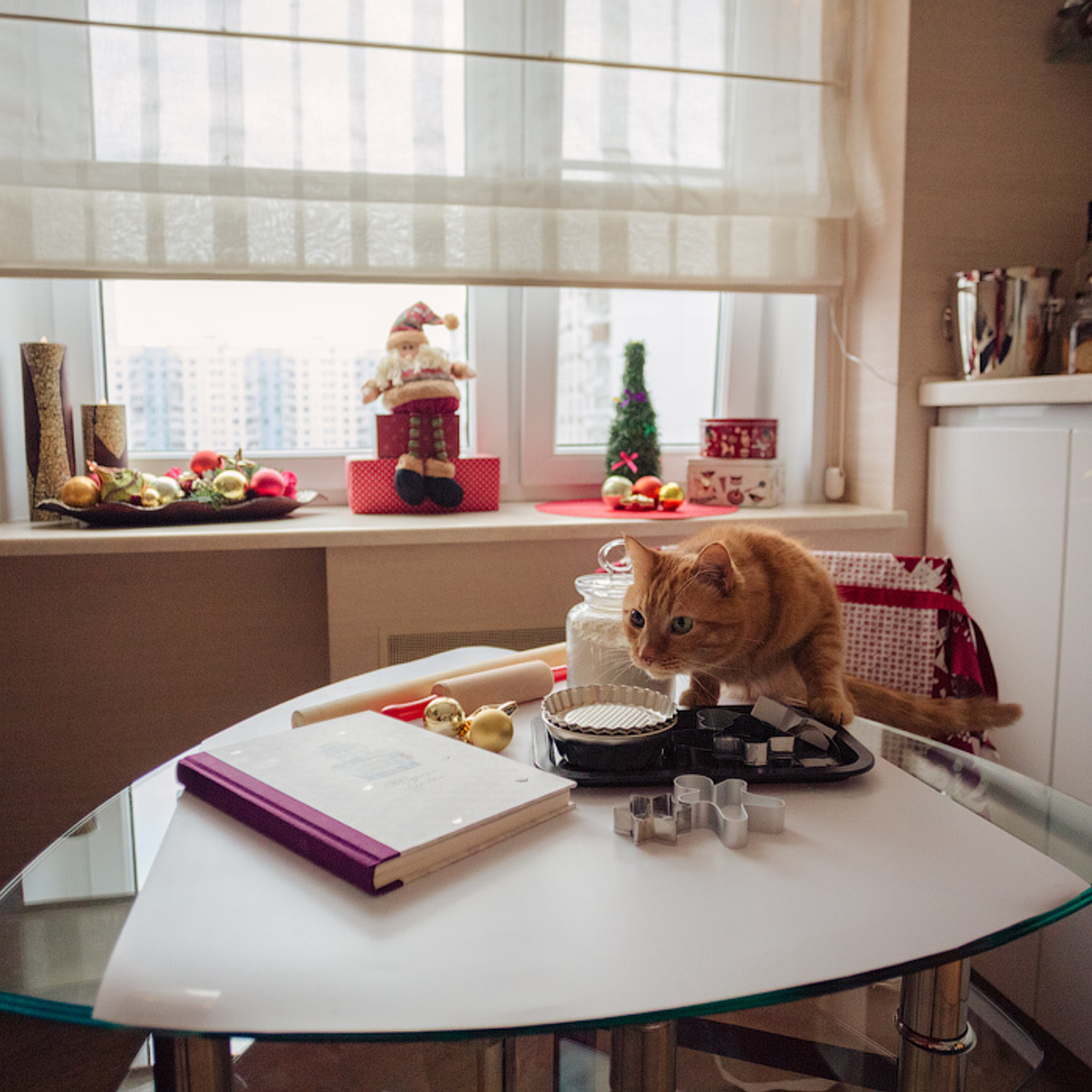 Домашняя новогодняя фотосессия. Фотограф в Москве Татьяна Байкова