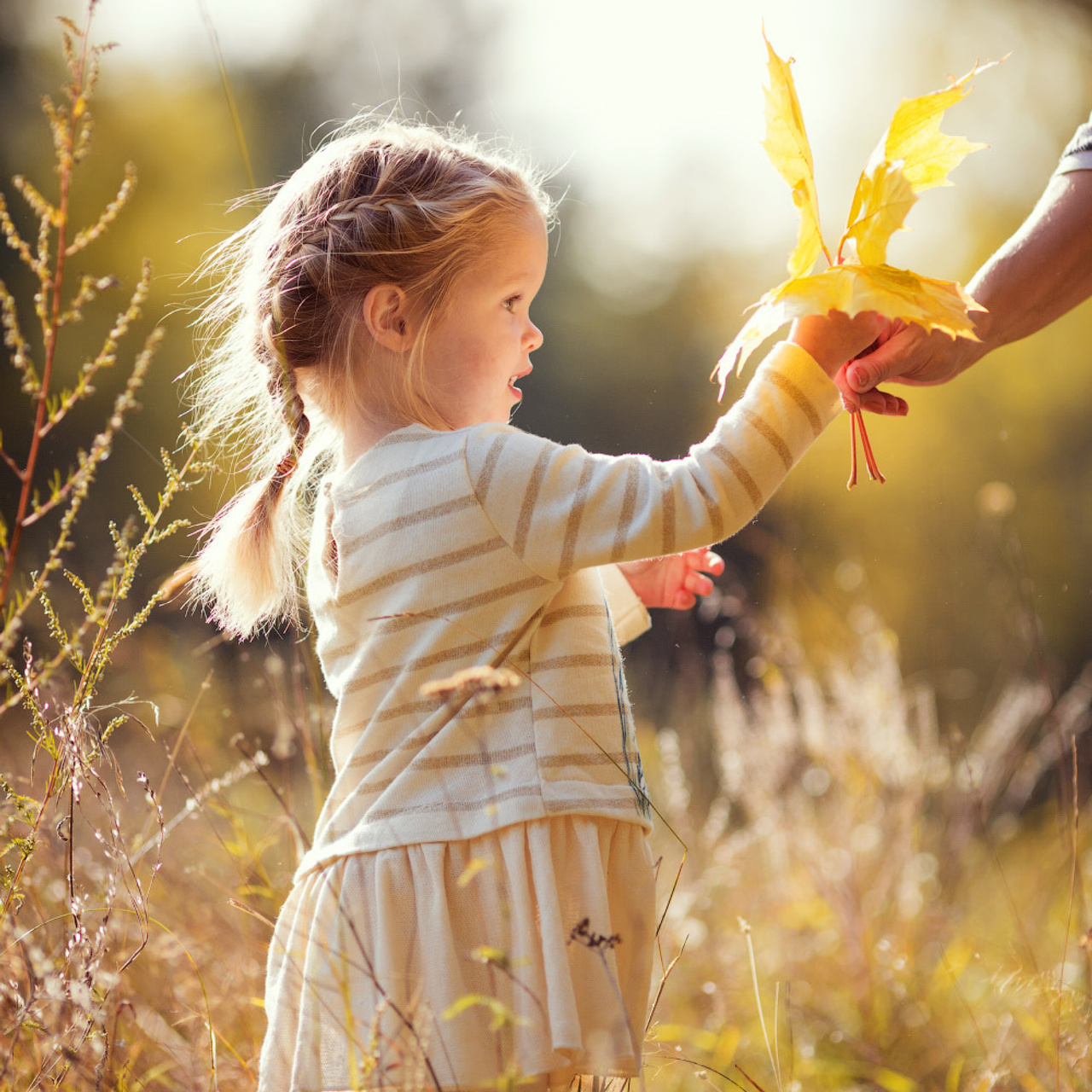 Осенняя фотосессия в Серебряном Бору. Фотограф в Москве Татьяна Байкова