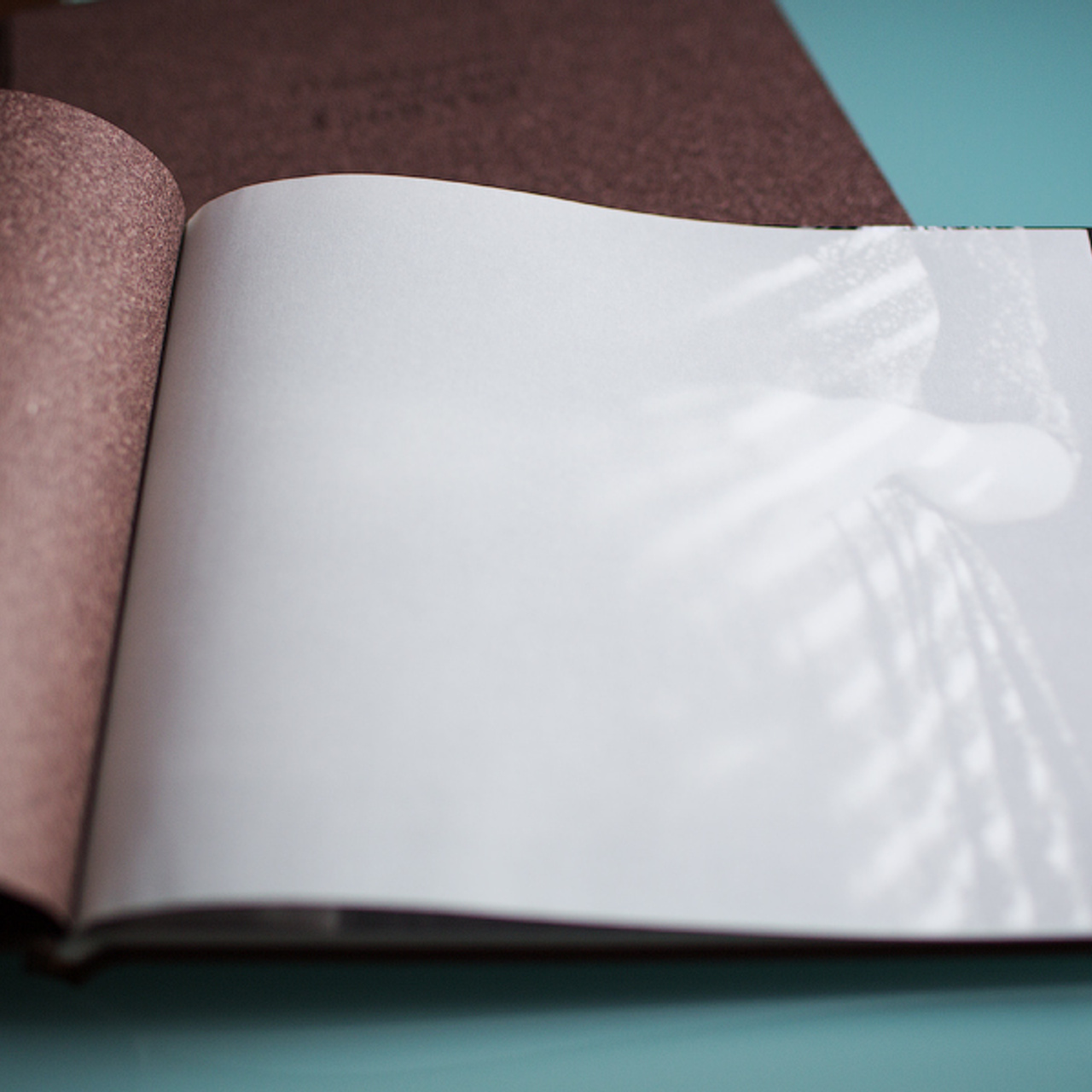 Фотосессия будущих родителей. Фотограф в Москве Татьяна Байкова