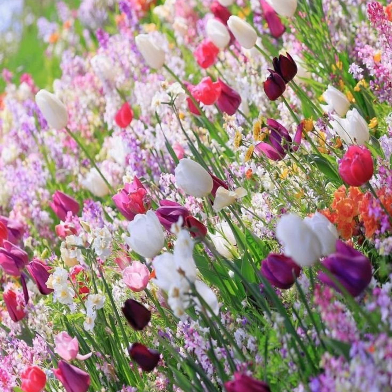 Отзывы. Детская выездная фотостудия