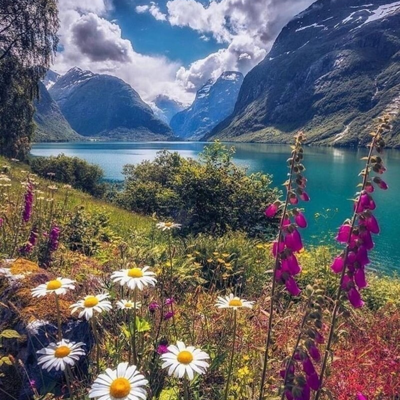 Отзывы. Детская выездная фотостудия