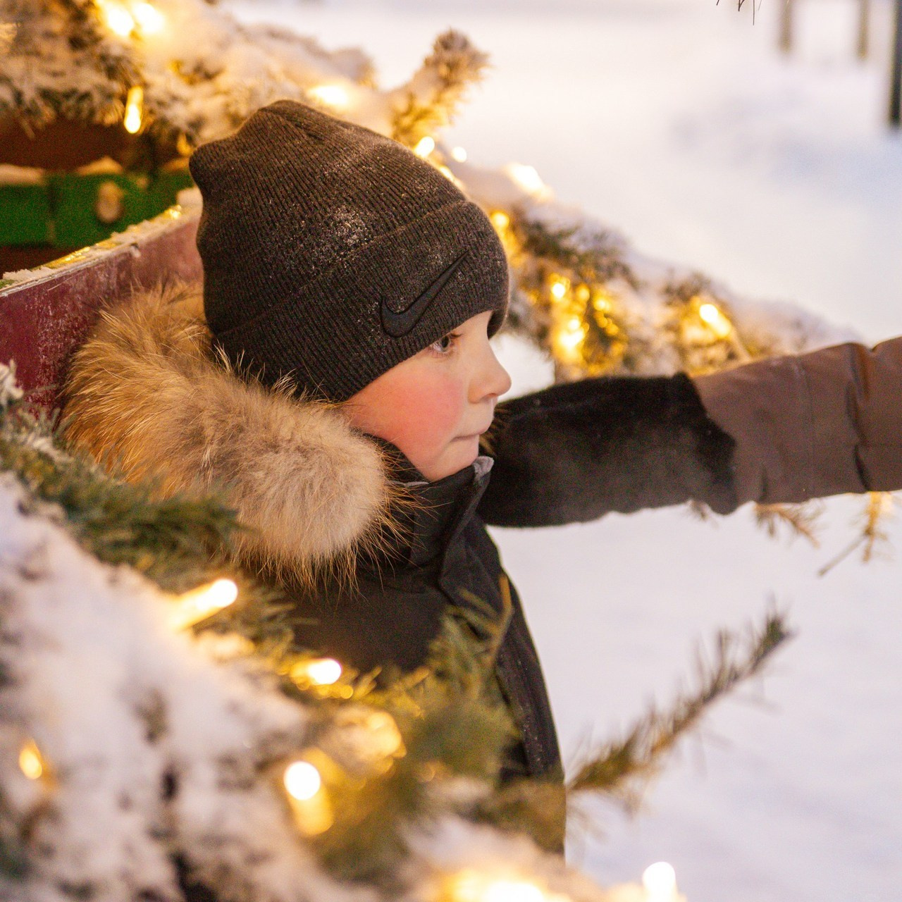 Отзывы. Фотограф Мурманск Лилия Маер