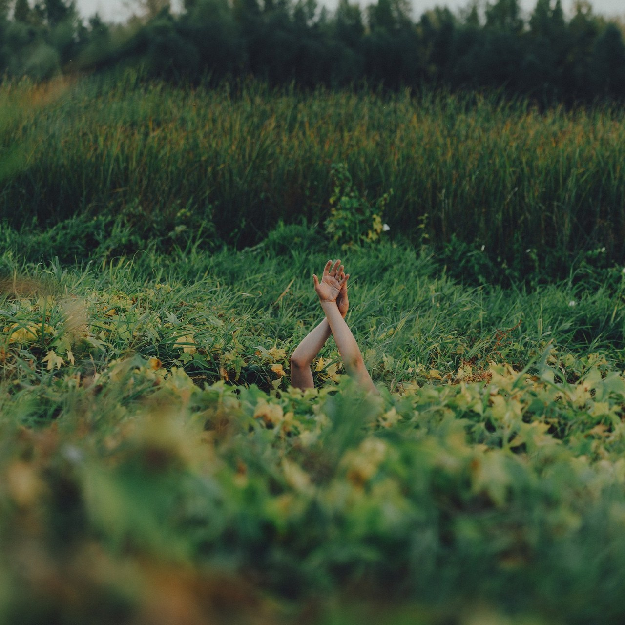 Отзывы о фотографе Самара. Фотограф с отзывами Самара. Фотограф в Самара Роман Квес