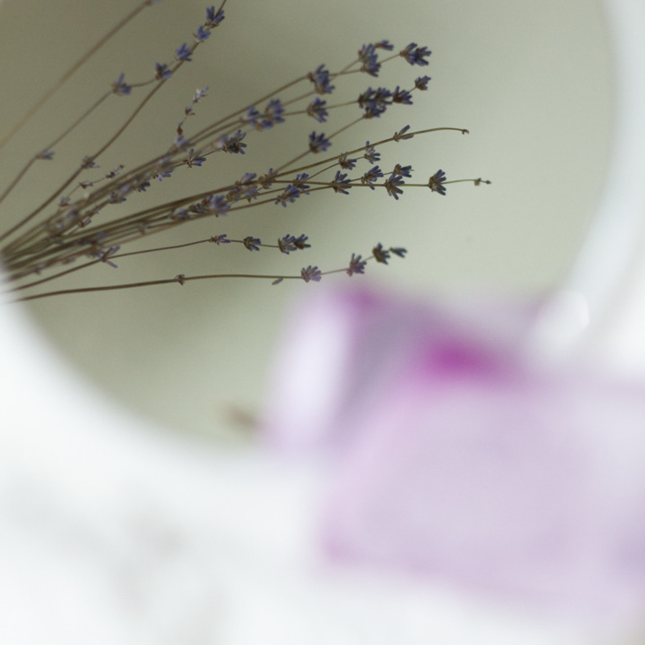 Контент съемка. Портфолио. Свадебный фотограф Варшава Лодзь Польша Елена Юцова