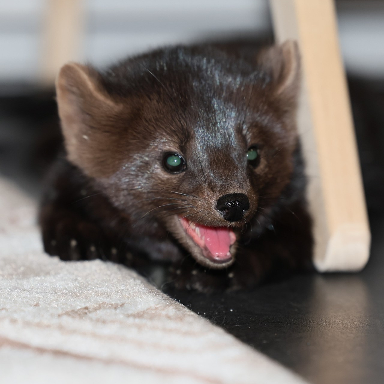 Отзывы. Главная