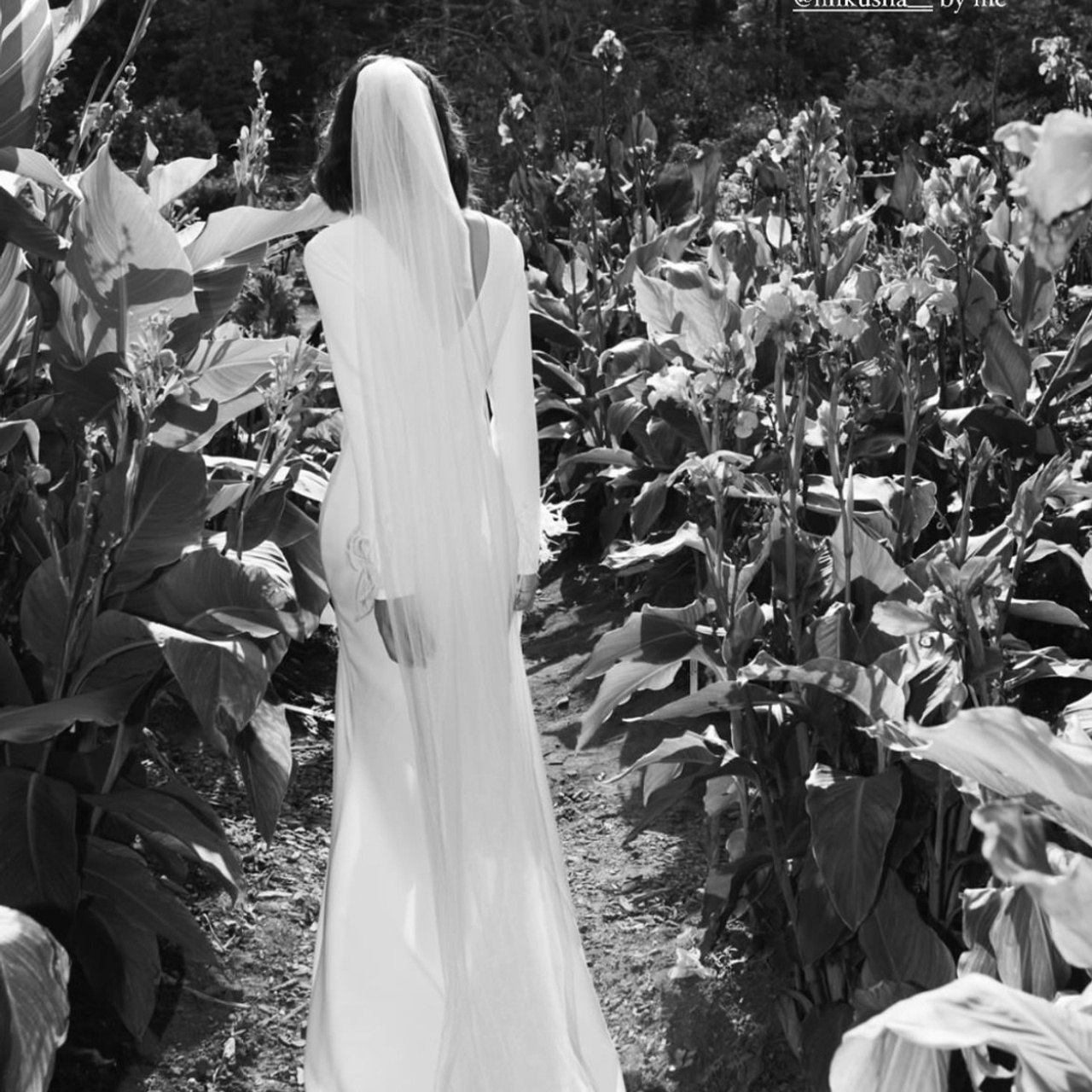 Свадебные фотосессии