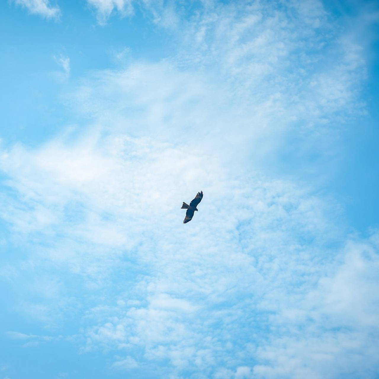 Отзывы. Андреева Александра фотограф в г. Улан-Удэ