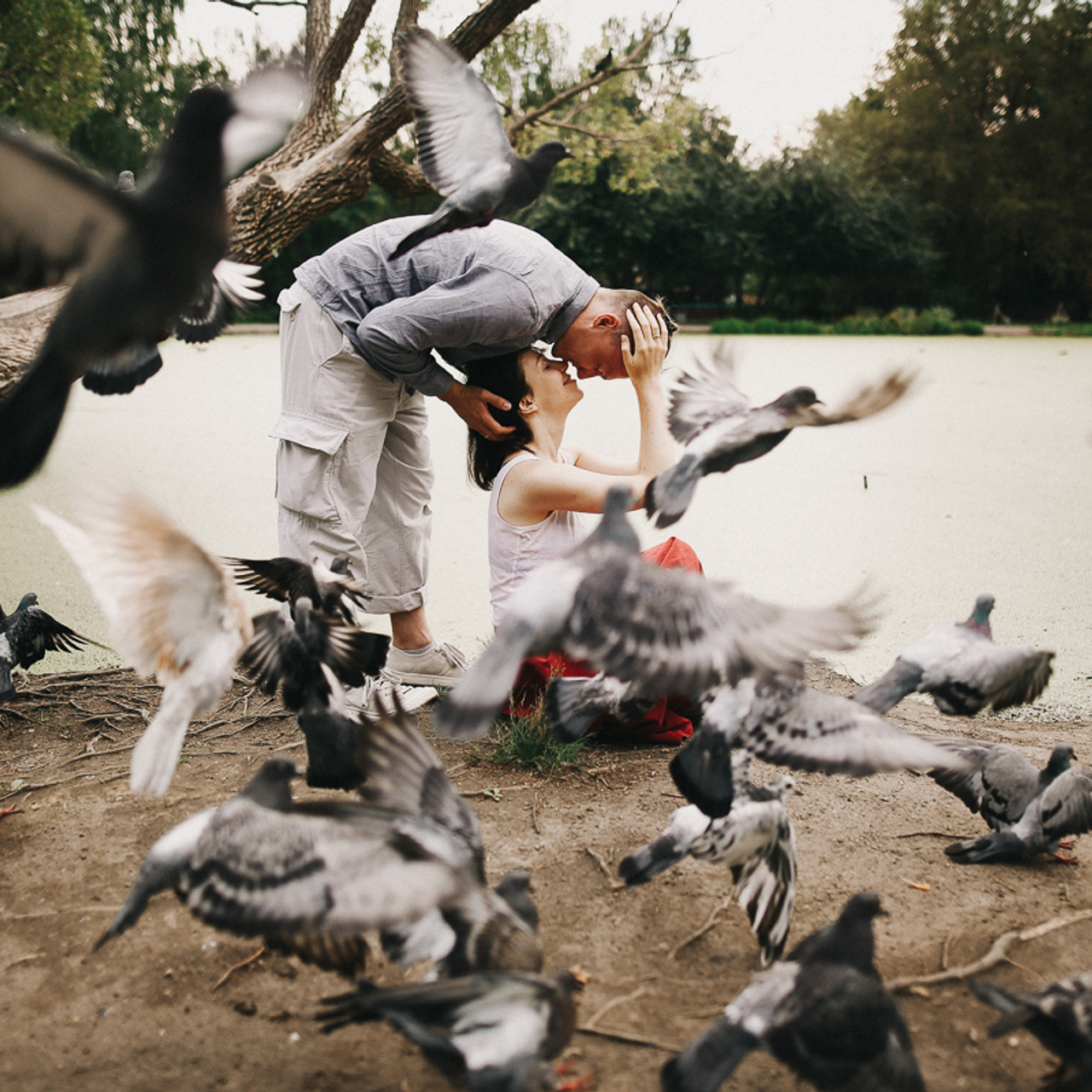 Алая птичка