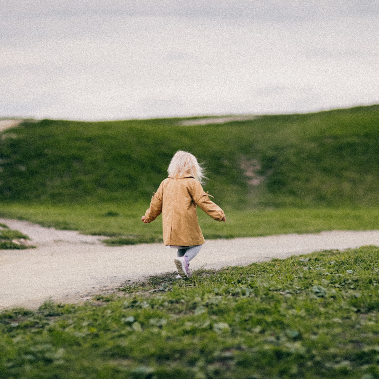 Поймай ветер за хвост