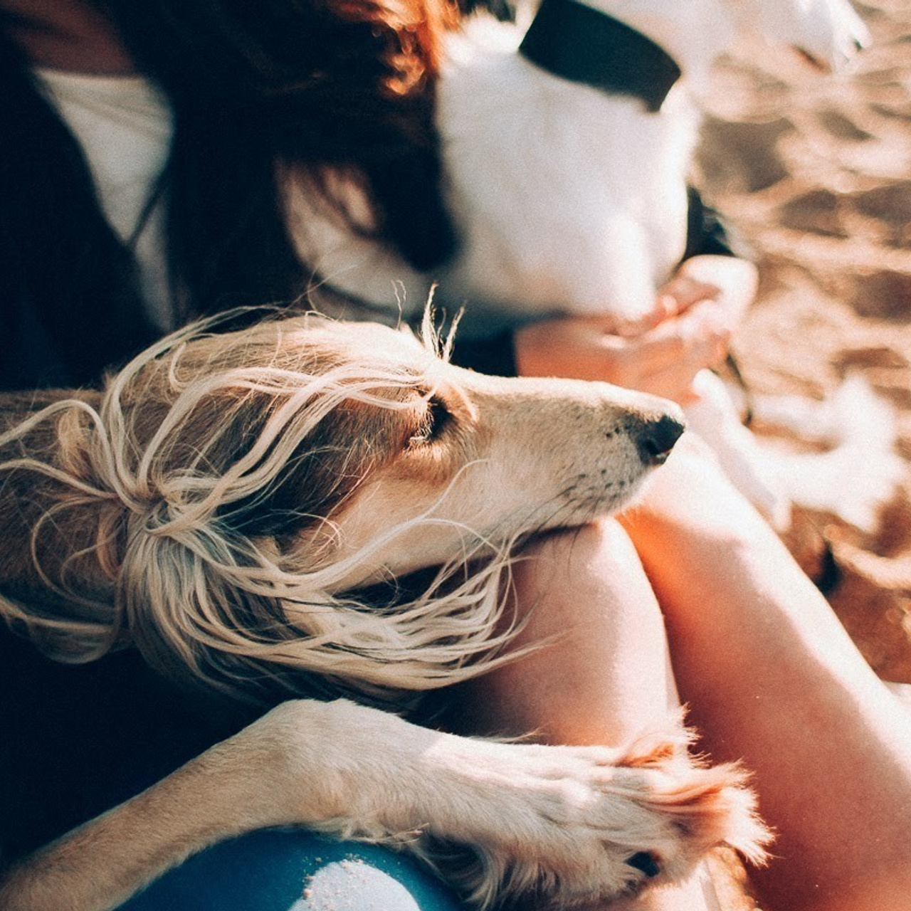 Встреча Ветров