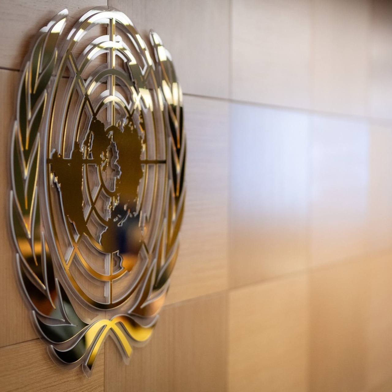 Отзывы. Профессиональный фотограф в Алматы Влад Семёнов