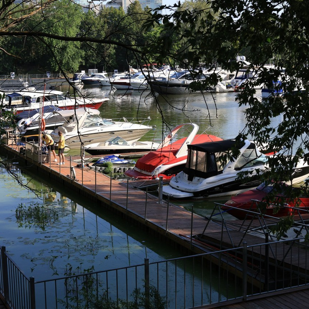 Отзывы. Профессиональный фотограф в Москве и Мо Мария Шантарёва