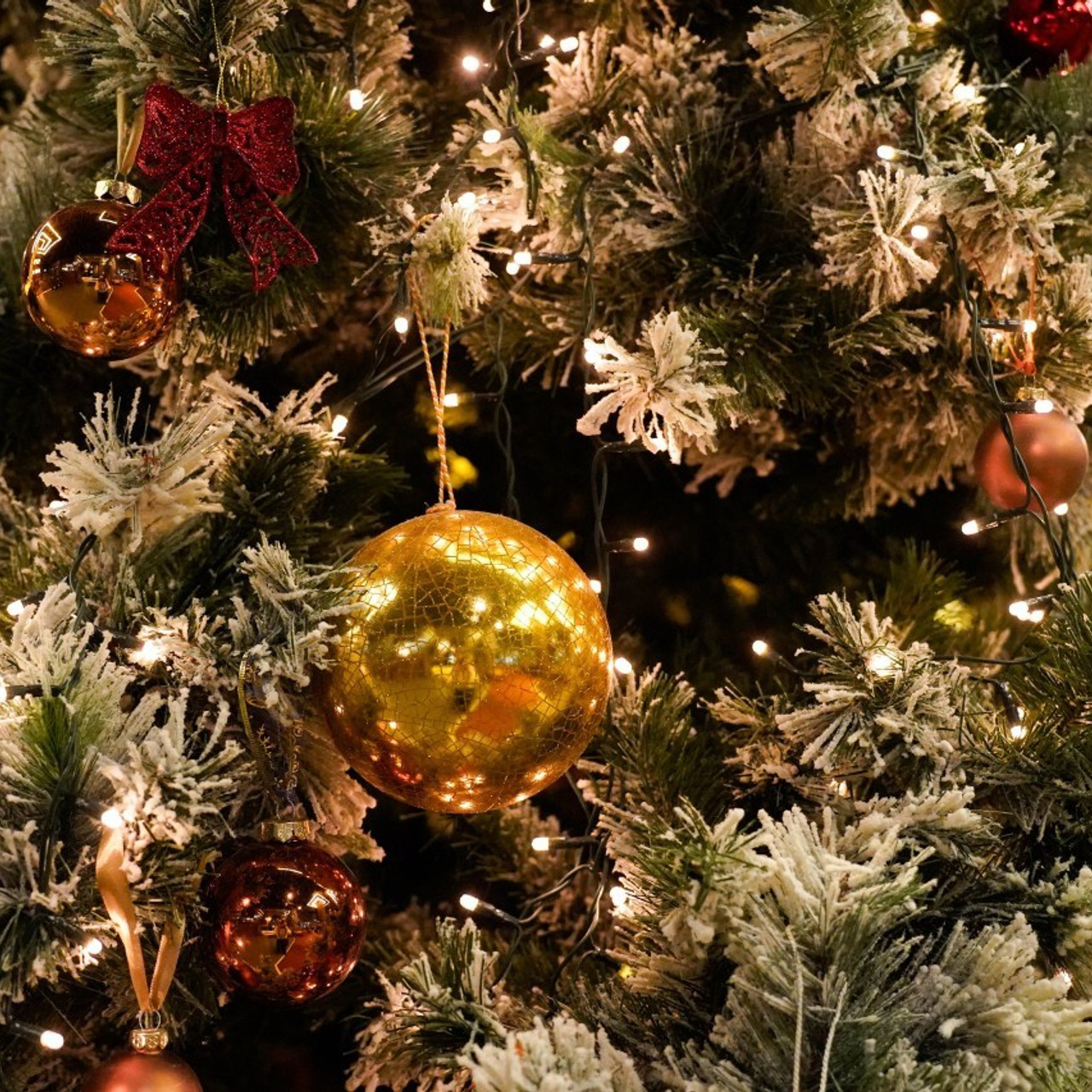 Отзывы. Фотограф-видеограф в Москве Анна Калинцева