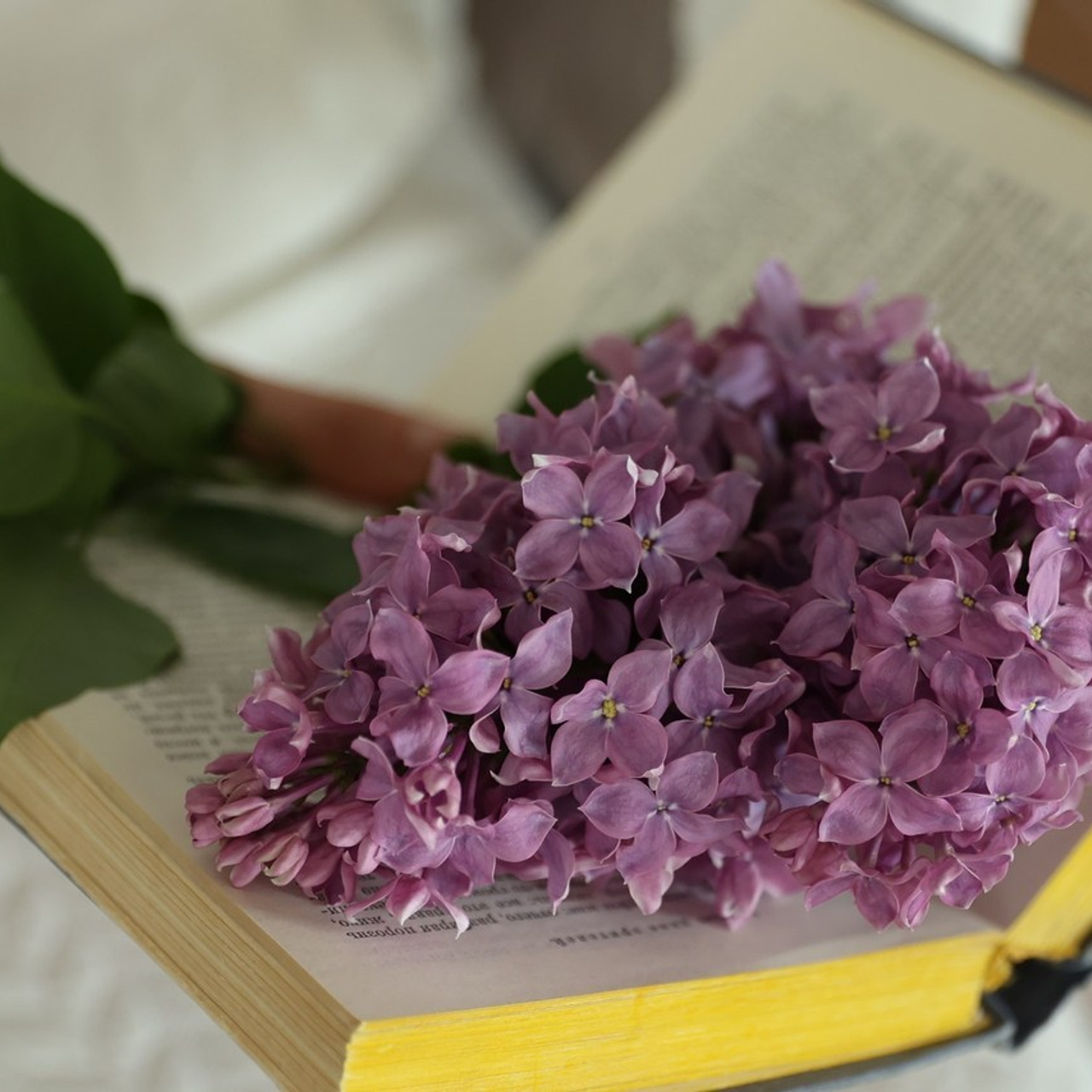 Отзывы. Семейный и детский фотограф в Белгороде Юлия Сирченко