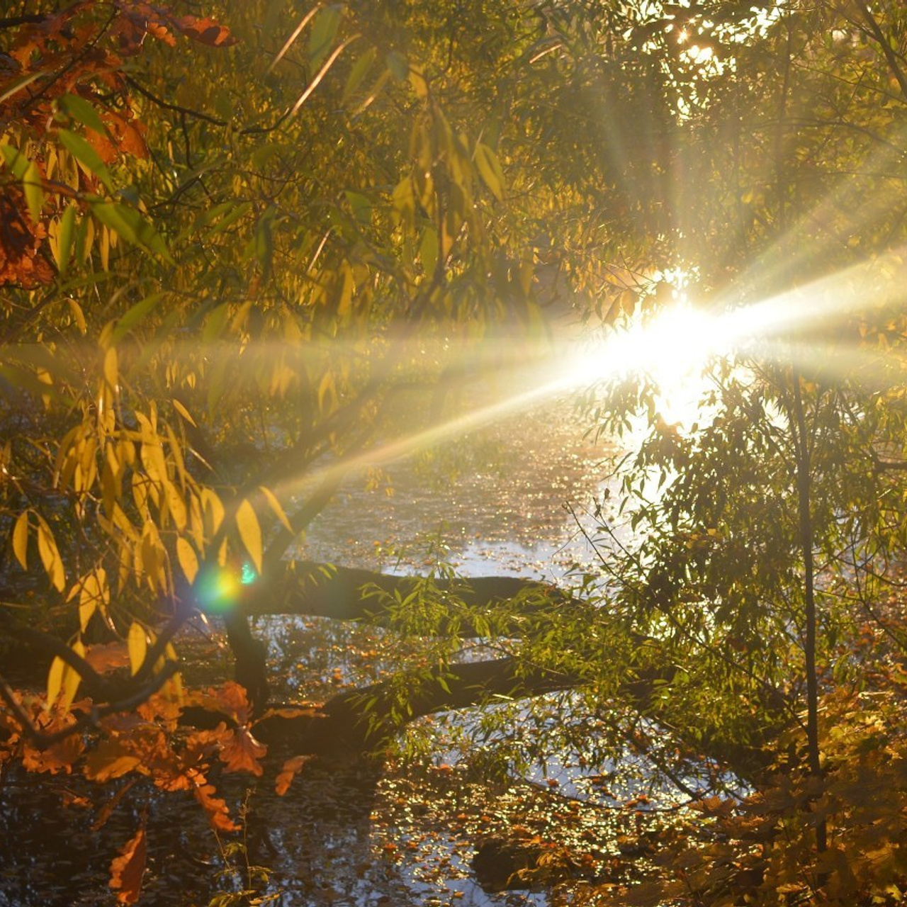 Отзывы. Семейный и детский фотограф в Санкт-Петербурге Баландина Татьяна