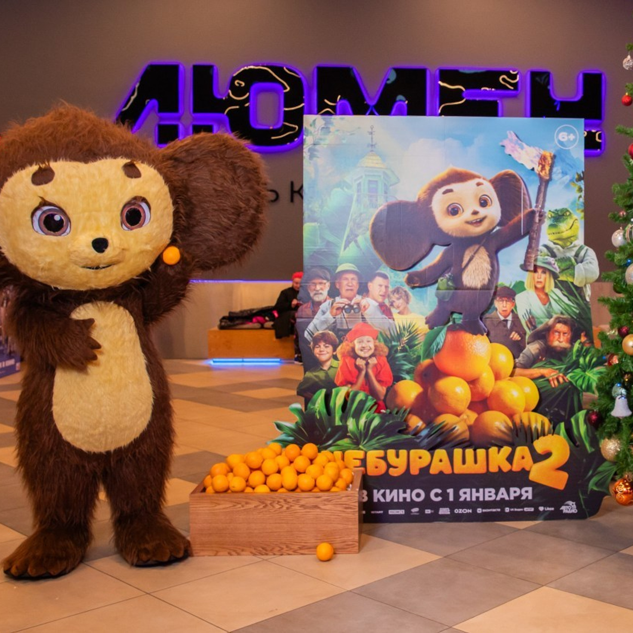 Отзывы. Семейный и свадебный фотограф в Калининграде Вера Филипченко