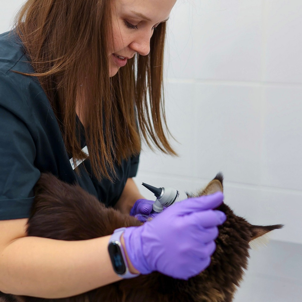 Отзывы. Фотограф из Санкт-Петербурга Ильинская Ксения