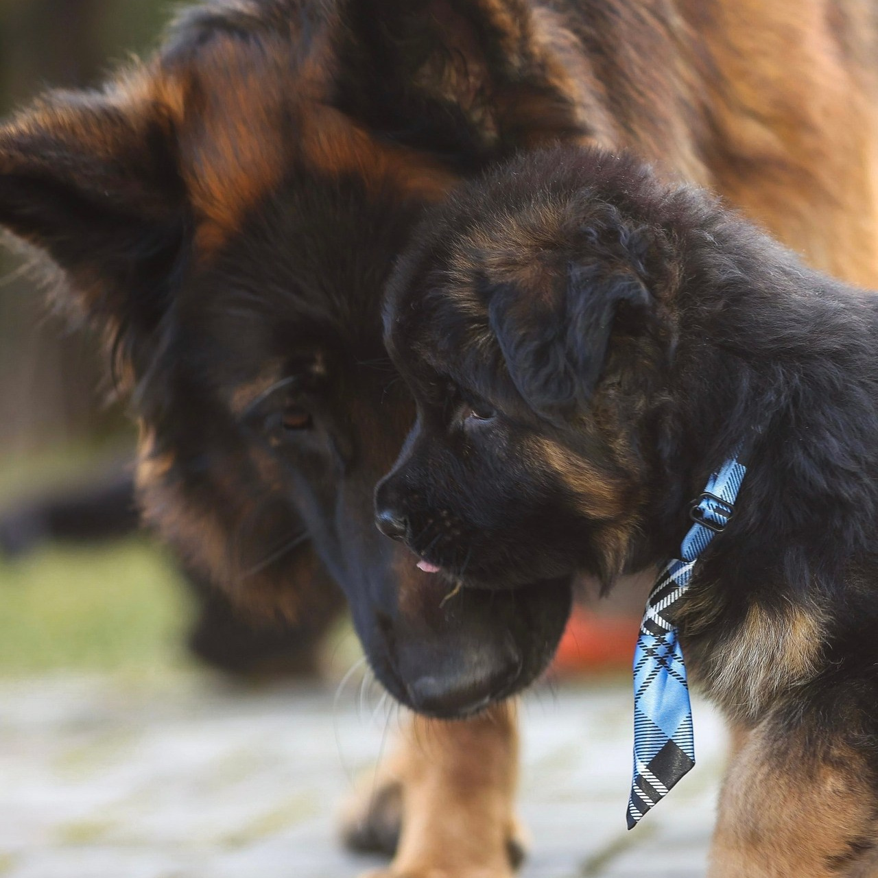 Отзывы. Фотограф из Санкт-Петербурга Ильинская Ксения