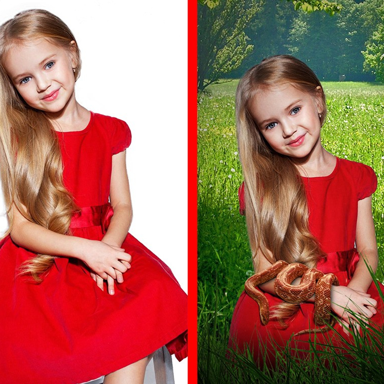 Допечатная подготовка изображений. Дизайн и допечатная подготовка полиграфической продукции