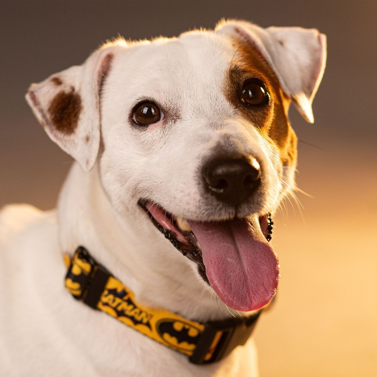 Отзывы. Фотограф в Смоленске Илона Дунаева