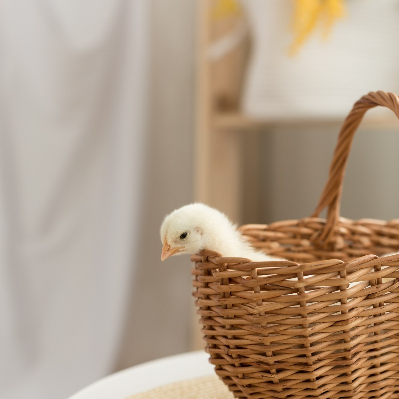 Отзывы. Семейный и детский фотограф в Перми Ксения Масленникова