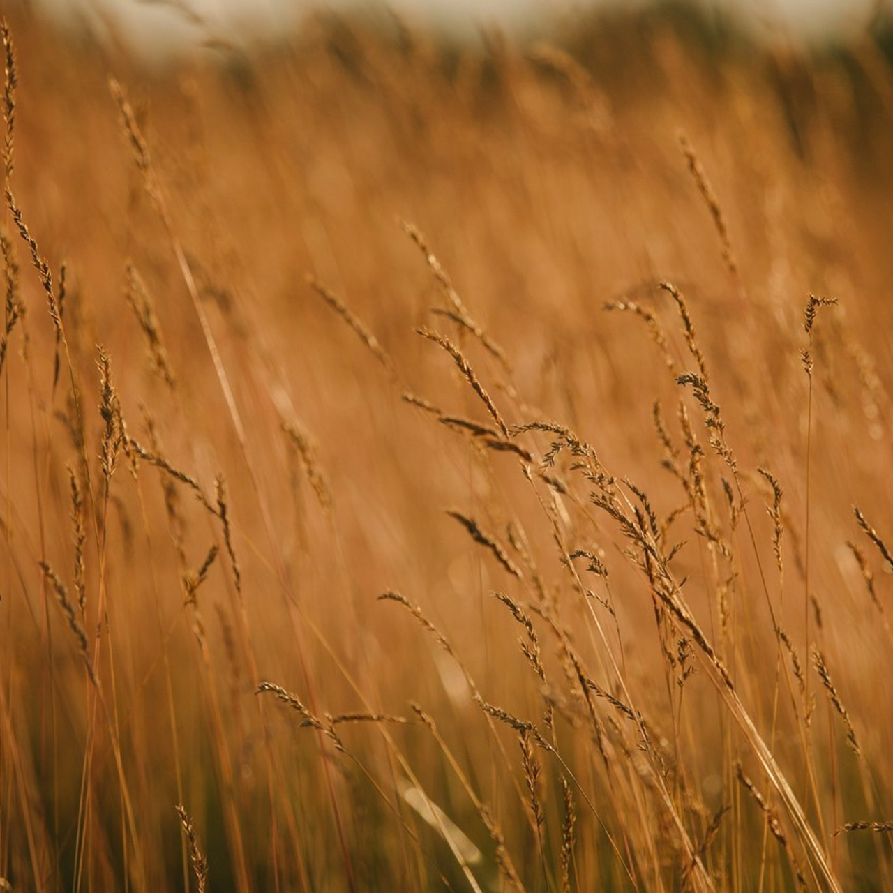 Отзывы. Photo/Video Production