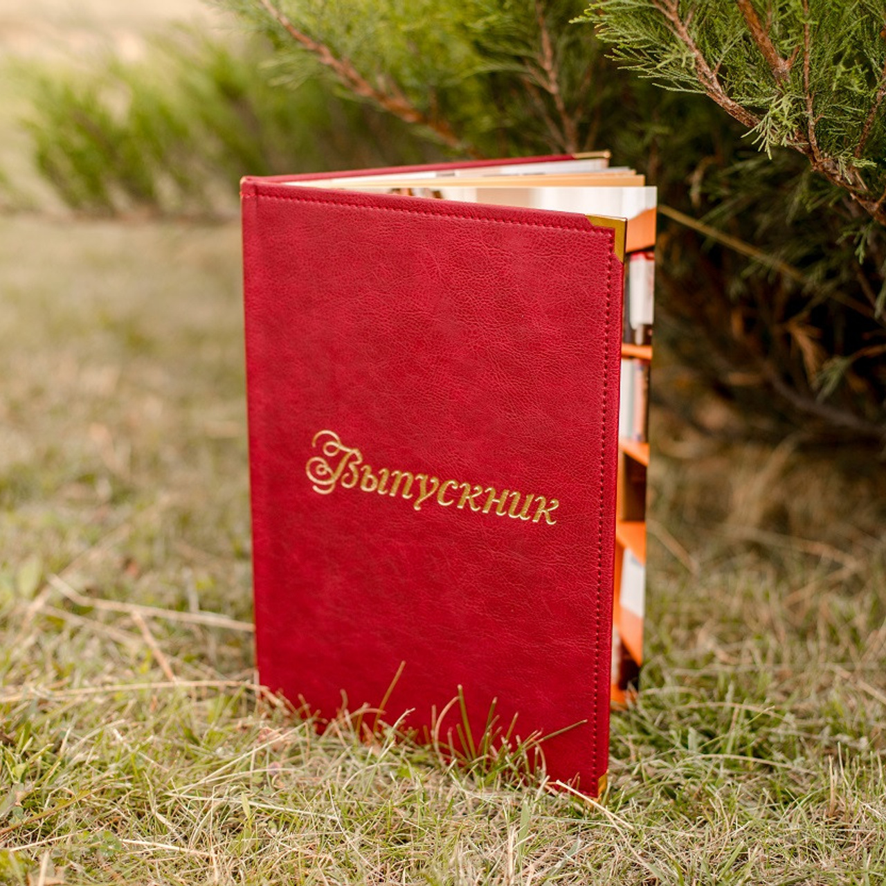 Отзывы. Стильные выпускные альбомы в Старом Осколе. Свадебные фотокниги