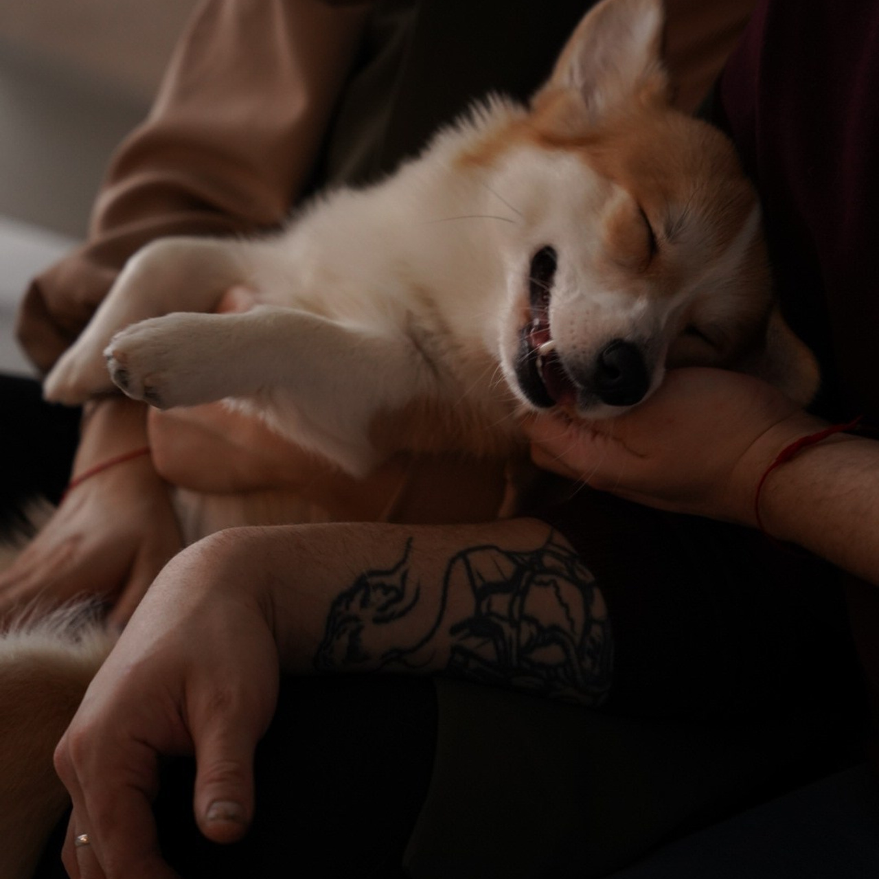 Портретный и свадебный фотограф в Архангельске Евгения Языкова