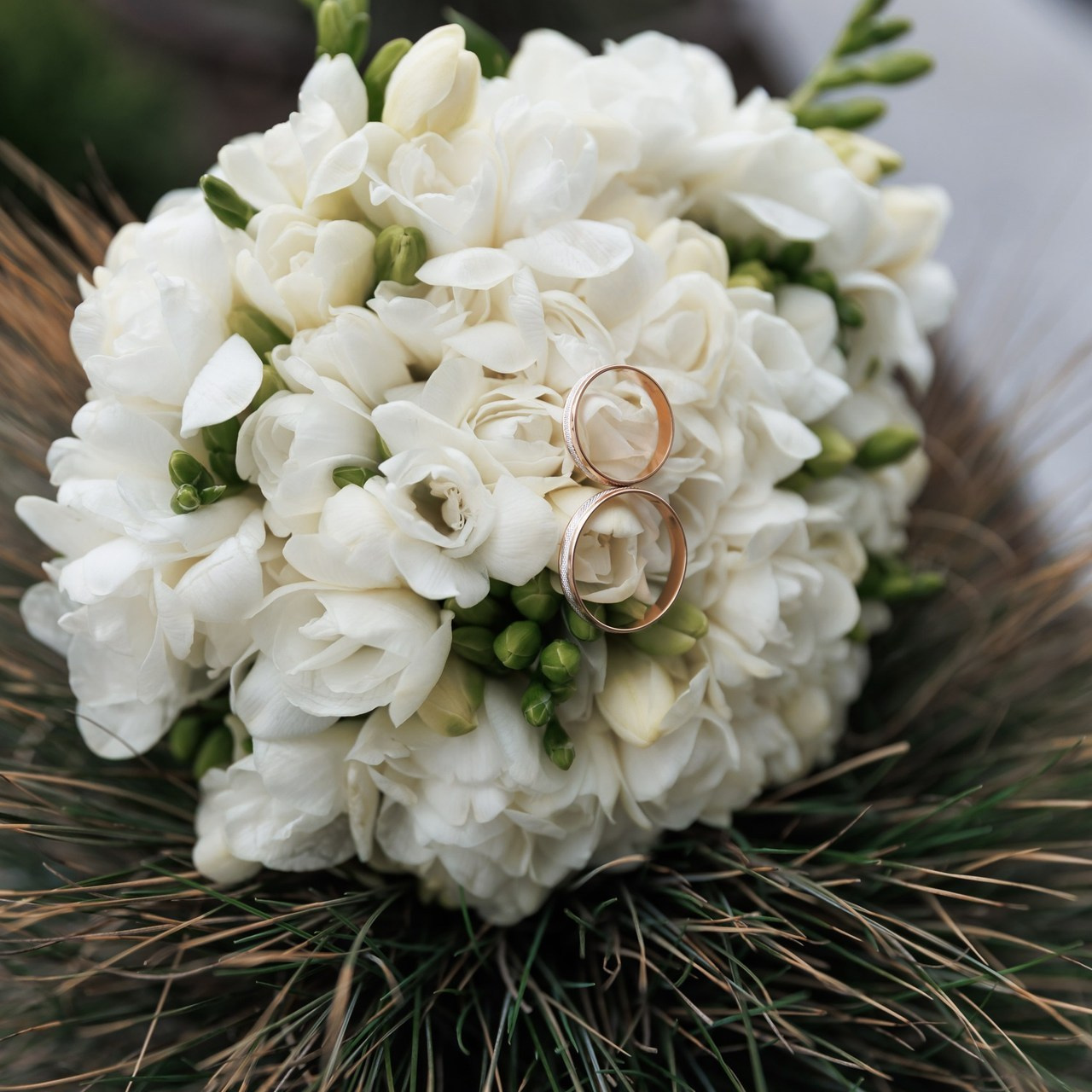 Отзывы. Свадебный фотограф в Ростове-наДону Марина Дымарчук