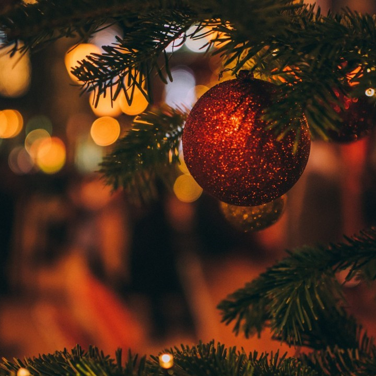 Отзывы. Свадебный фотограф Москва и Московская область