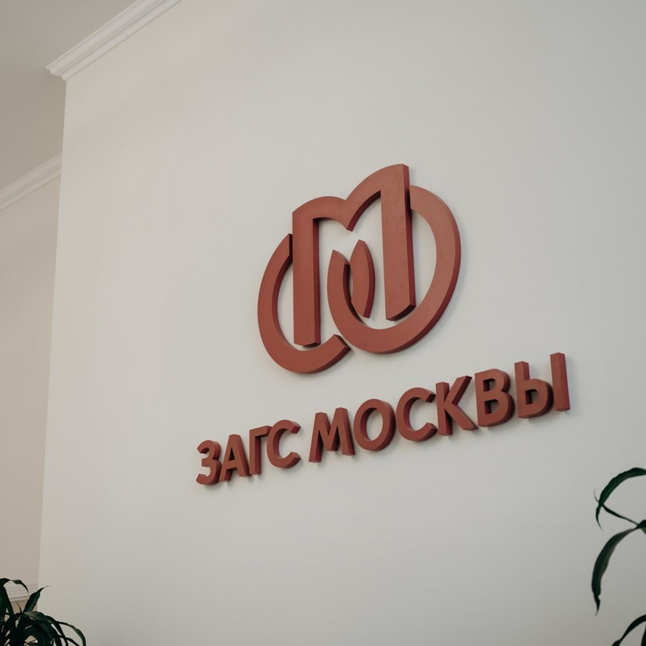 Отзывы. Свадебный фотограф Москва и Московская область