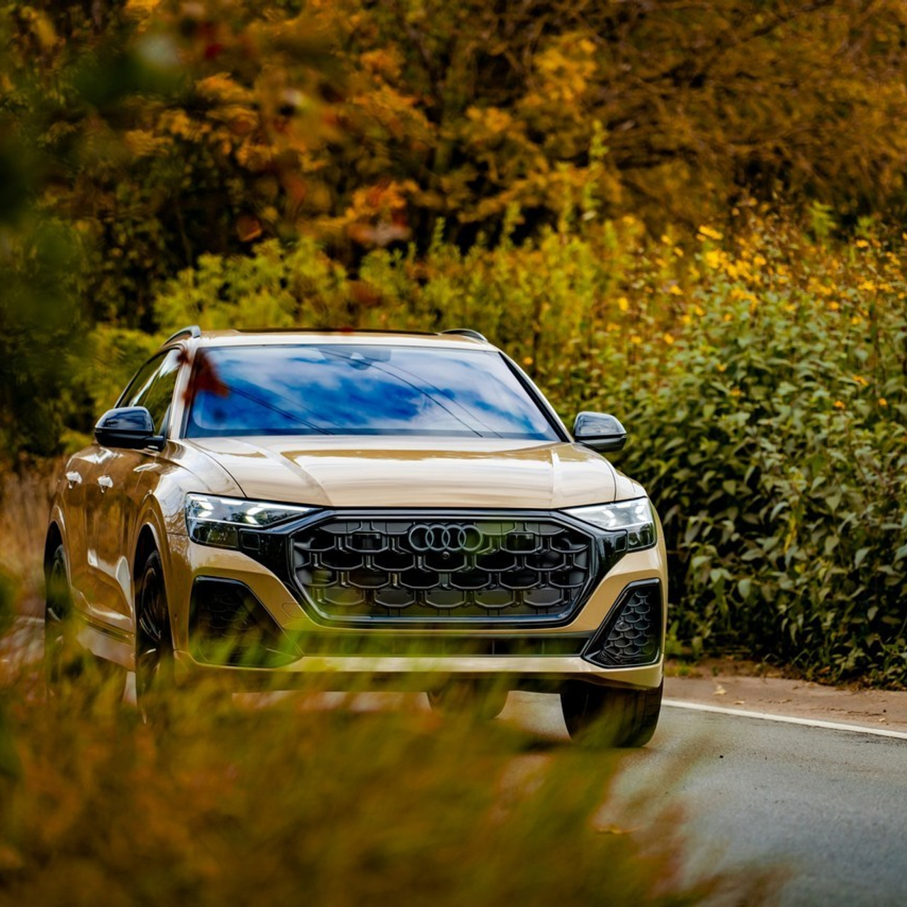 Отзывы. Фотограф Александр Вишняков